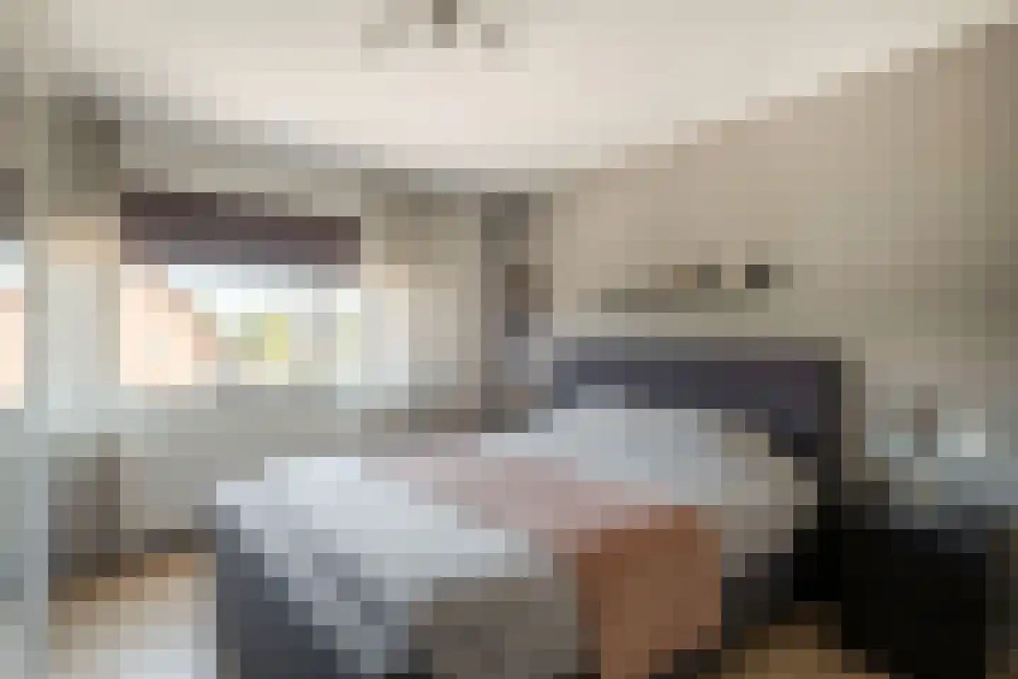 Molenstraat 60 Losser thumbnail 20