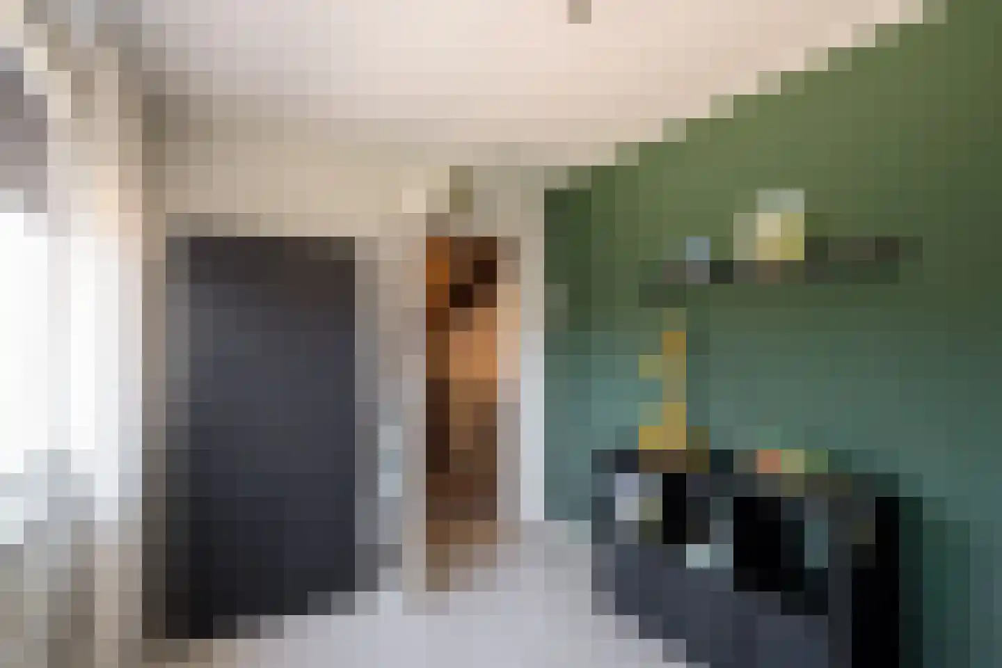 Molenstraat 60 Losser thumbnail 22