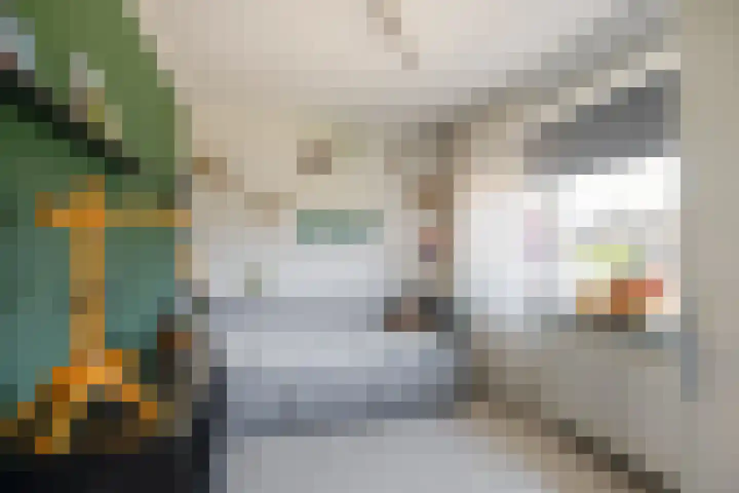Molenstraat 60 Losser thumbnail 23