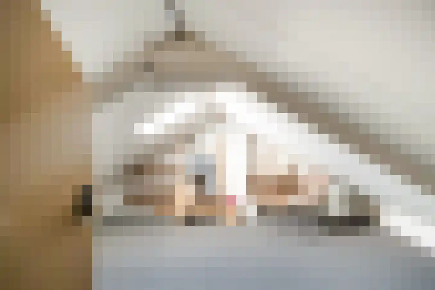 Molenstraat 60 Losser thumbnail 28