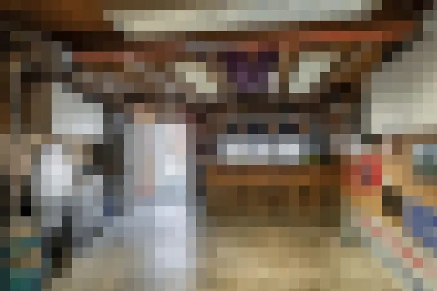 Molenstraat 60 Losser thumbnail 35