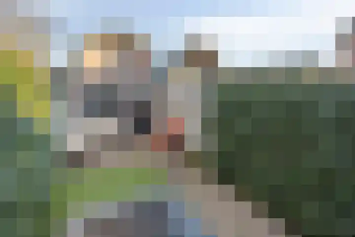 Molenstraat 60 Veenendaal thumbnail 23