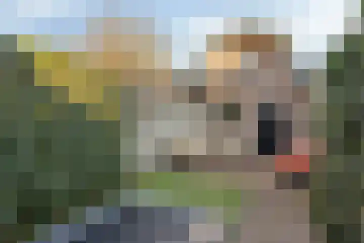 Molenstraat 60 Veenendaal thumbnail 5