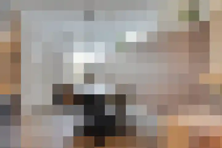 Molenstraat 60 Veenendaal thumbnail 8