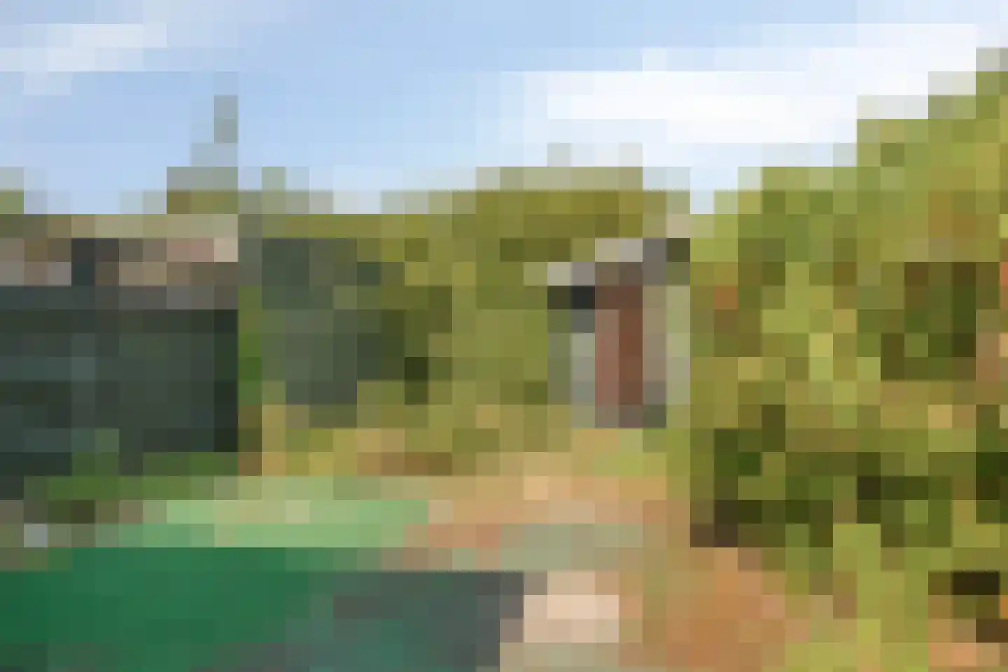 Molenstraat 60 Zoetermeer thumbnail 22