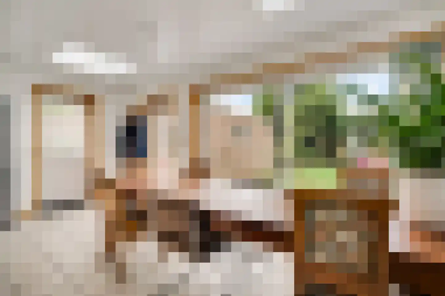 Molenstraat 61 Geleen thumbnail 10