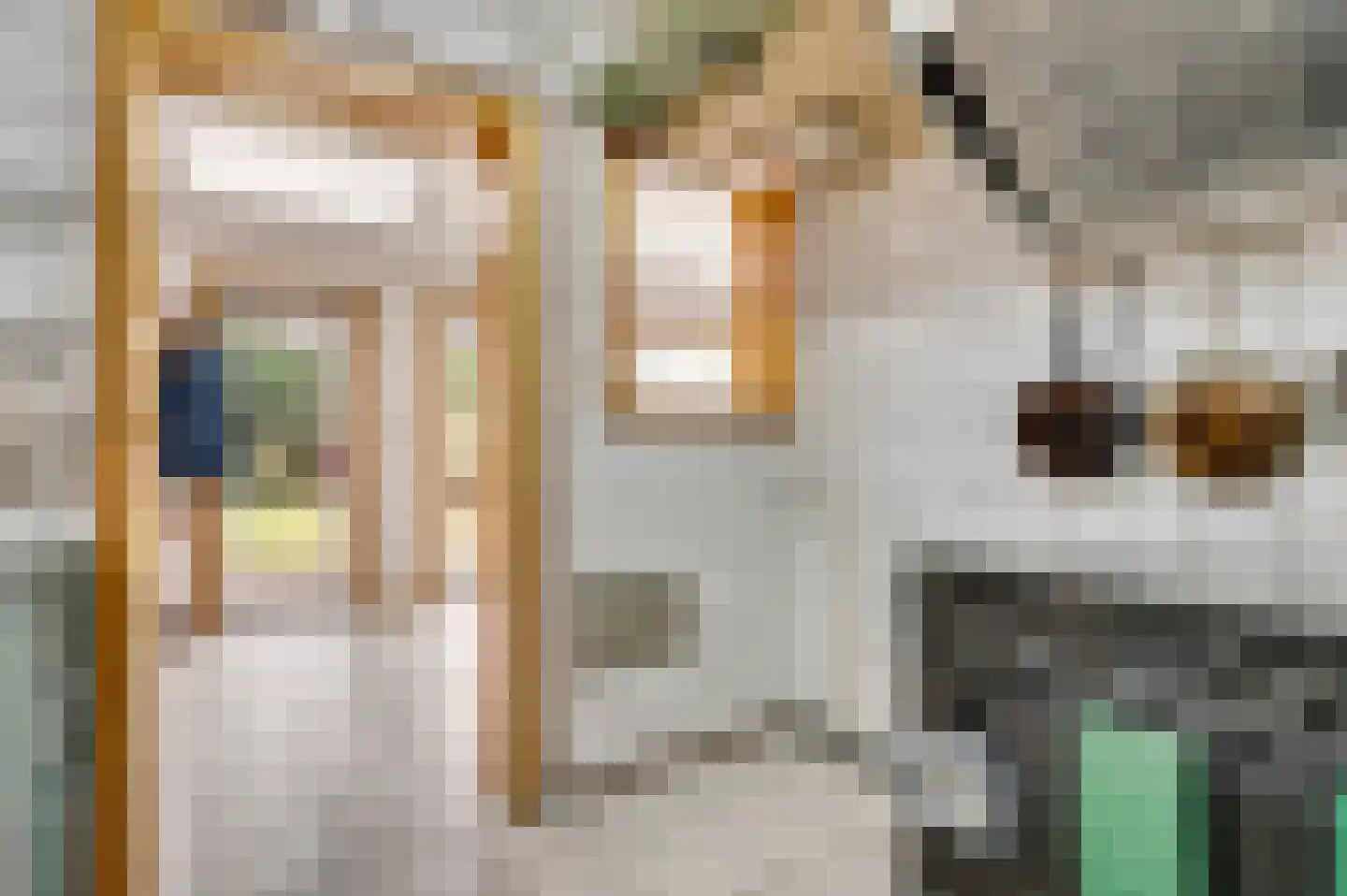 Molenstraat 61 Geleen thumbnail 11