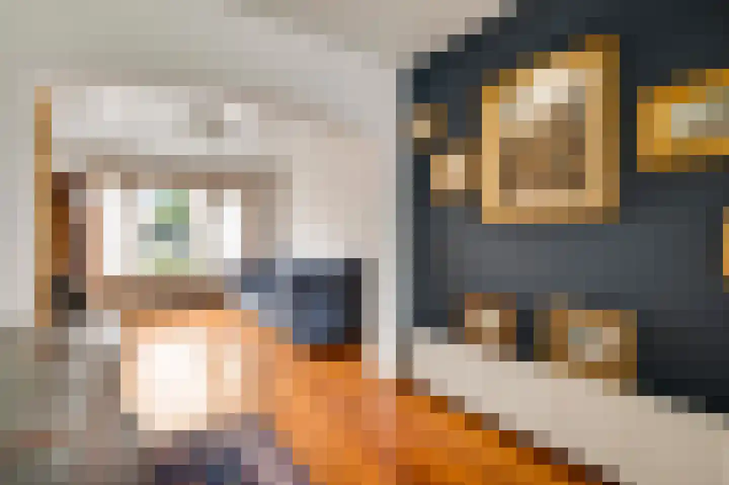 Molenstraat 61 Geleen thumbnail 8