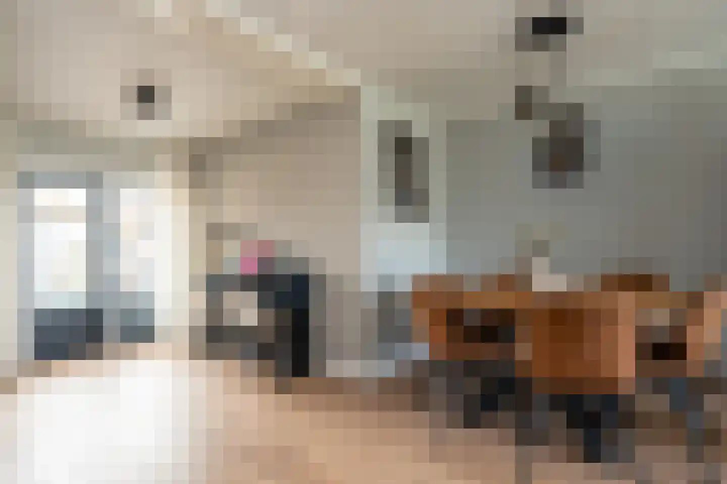 Molenstraat 61 Mussel thumbnail 14