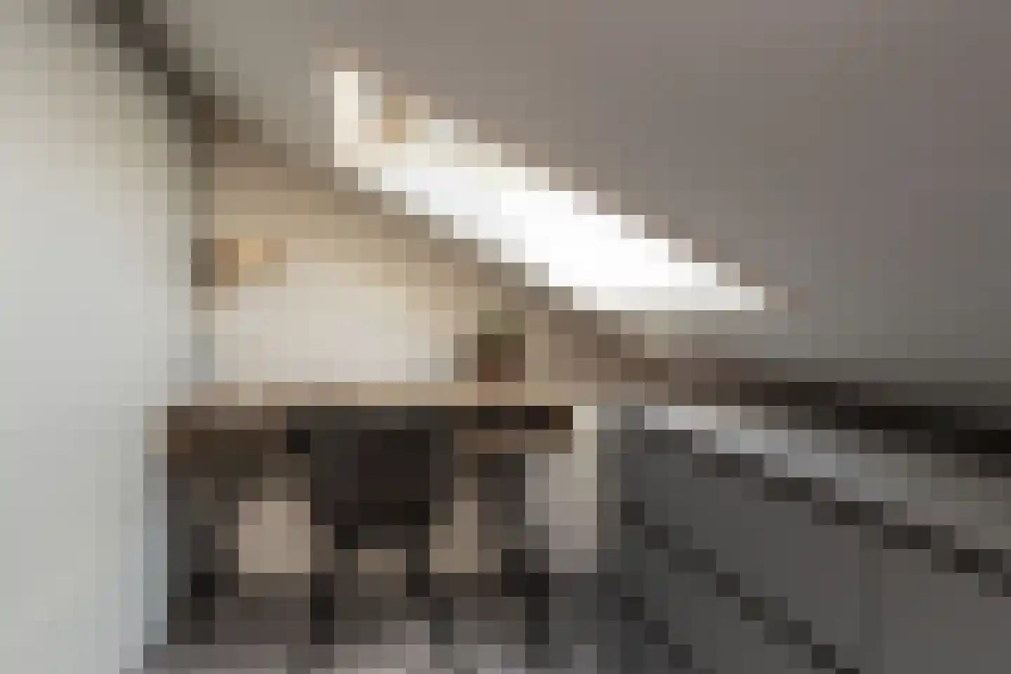 Molenstraat 61 Mussel thumbnail 38