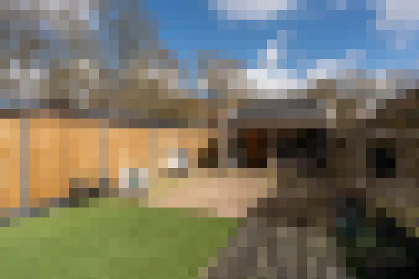 Molenstraat 61 Mussel thumbnail 43
