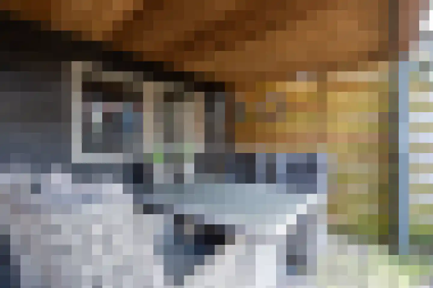 Molenstraat 61 Mussel thumbnail 47