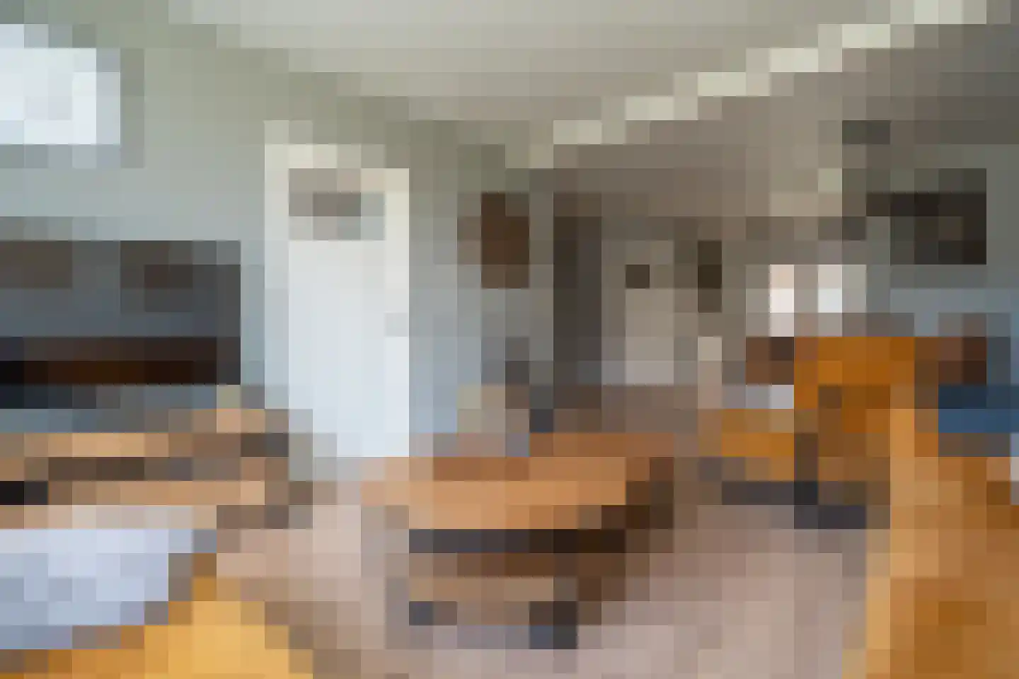 Molenstraat 61 Mussel thumbnail 5