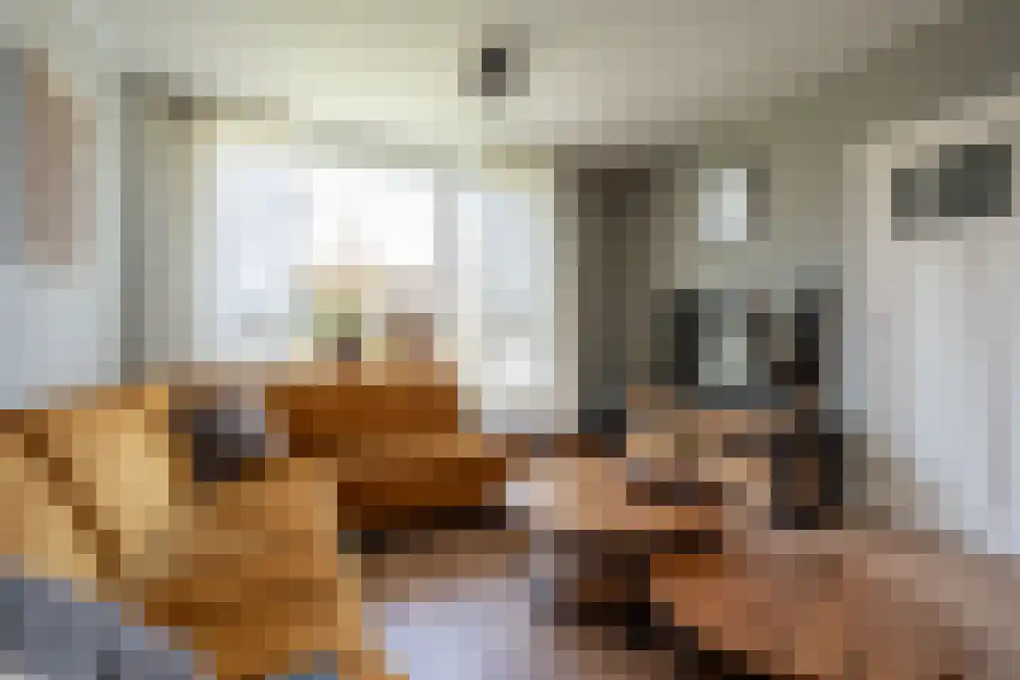 Molenstraat 61 Mussel thumbnail 7