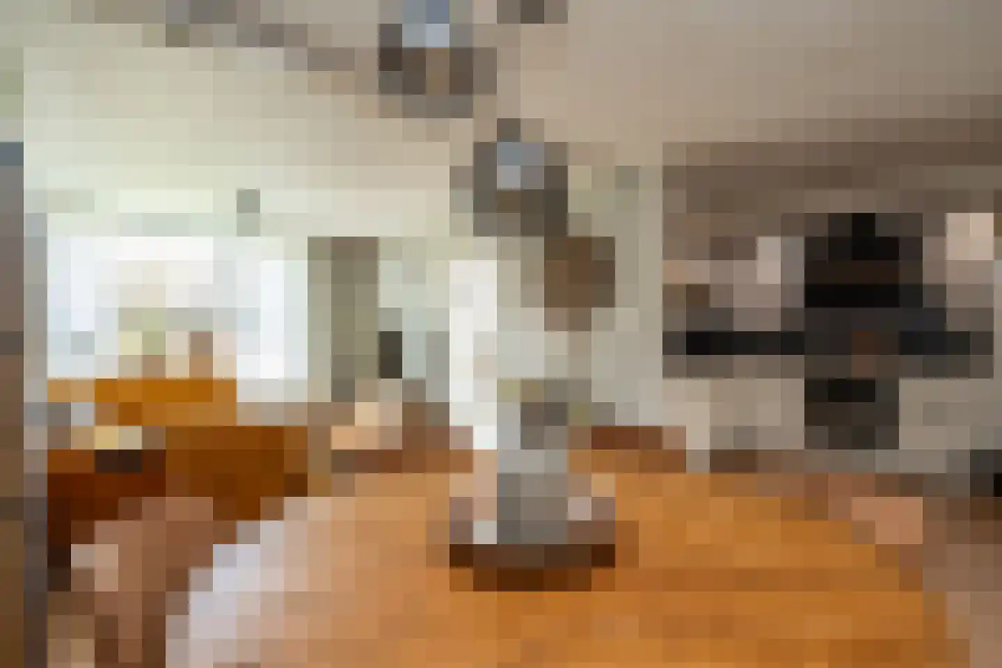 Molenstraat 61 Mussel thumbnail 9