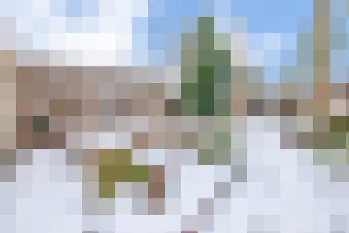 Molenstraat 62 Deurne thumbnail 44
