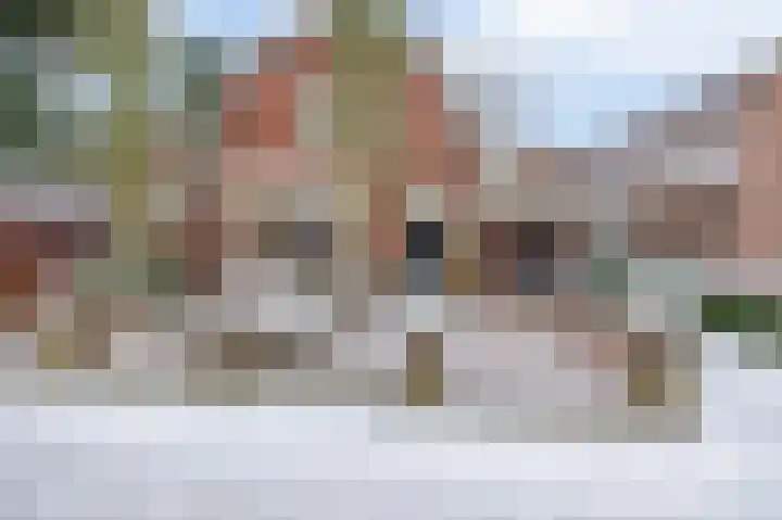Molenstraat 62 Deurne thumbnail 50