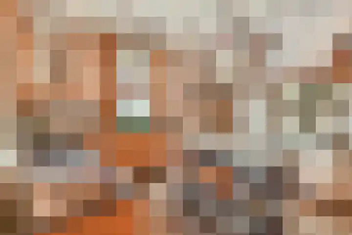 Molenstraat 62 Deurne thumbnail 9