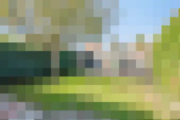 Molenstraat 63 Meijel thumbnail 33