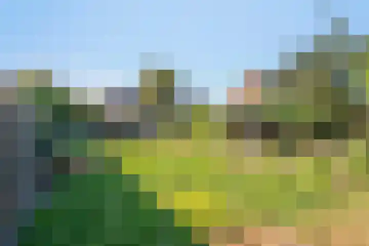 Molenstraat 63 Meijel thumbnail 37