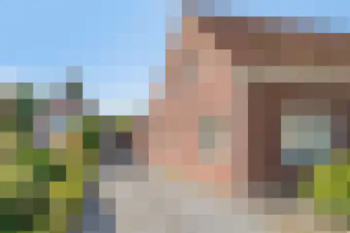Molenstraat 63 Meijel thumbnail 47