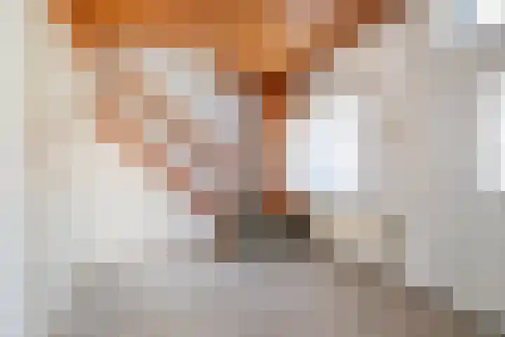 Molenstraat 63 Meijel thumbnail 5