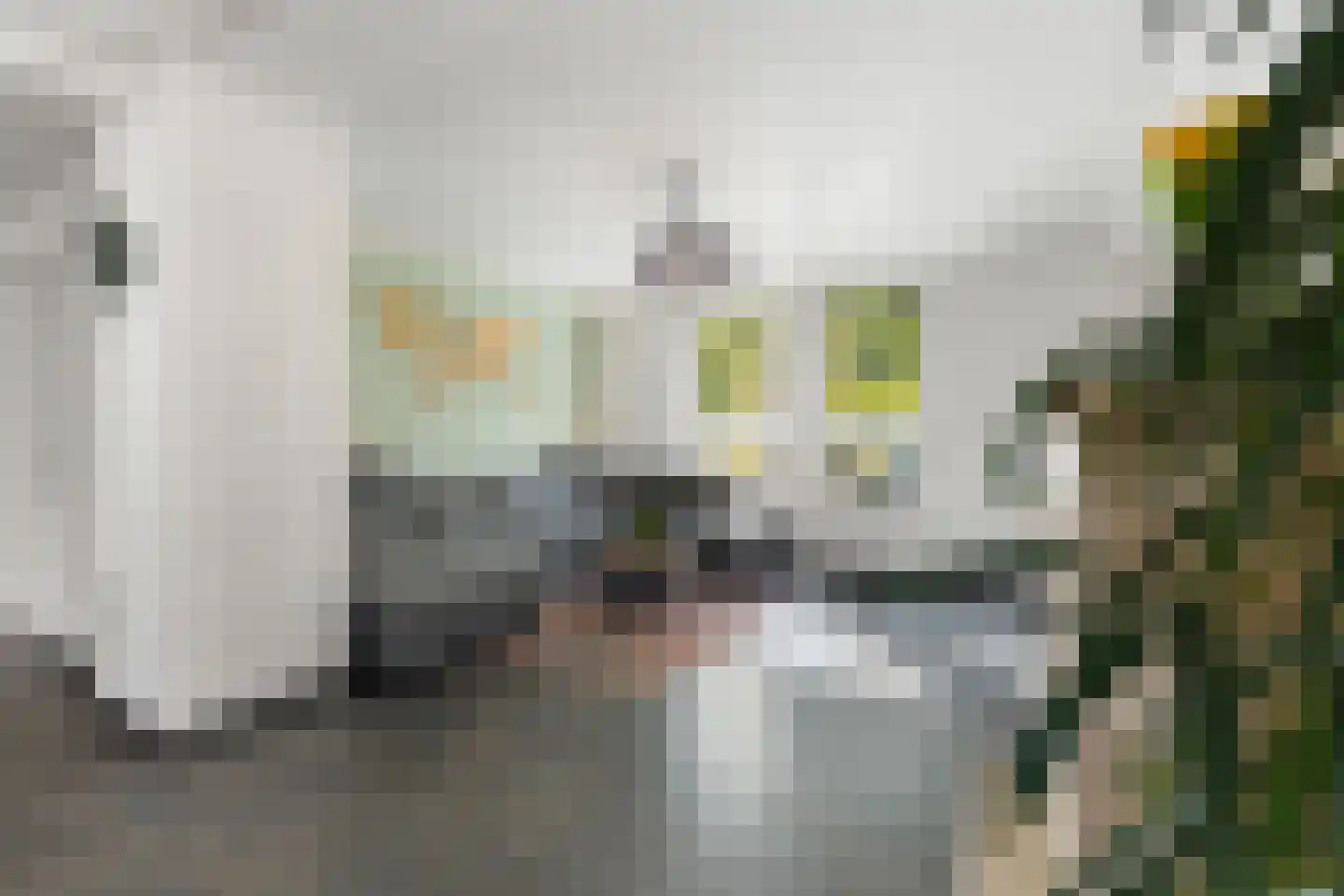 Molenstraat 63 Roosteren thumbnail 12