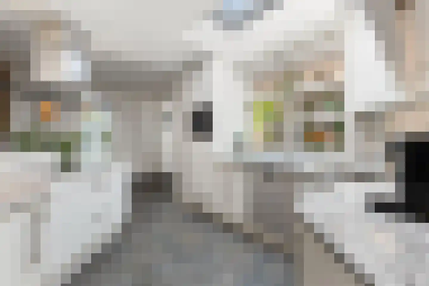 Molenstraat 63 Roosteren thumbnail 16