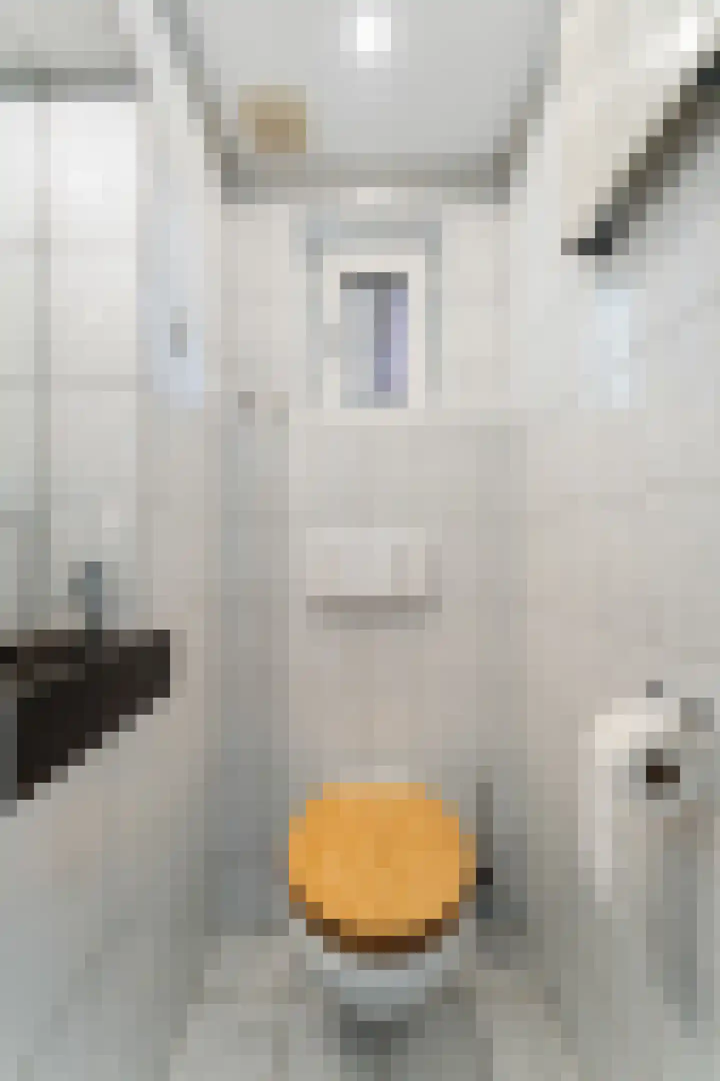 Molenstraat 63 Roosteren thumbnail 20