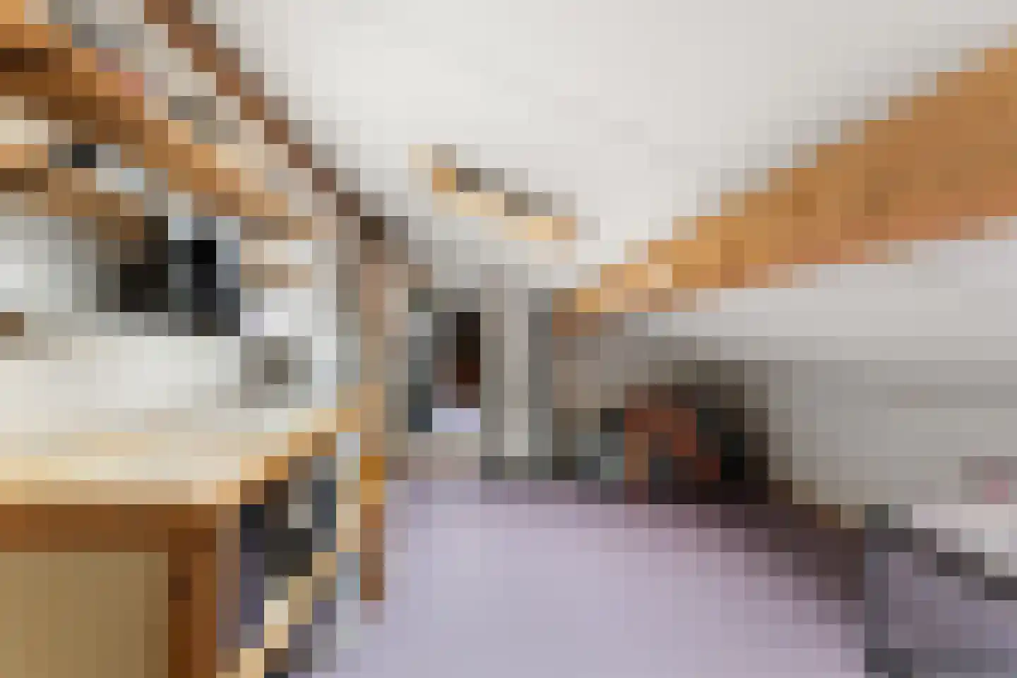 Molenstraat 63 Roosteren thumbnail 24