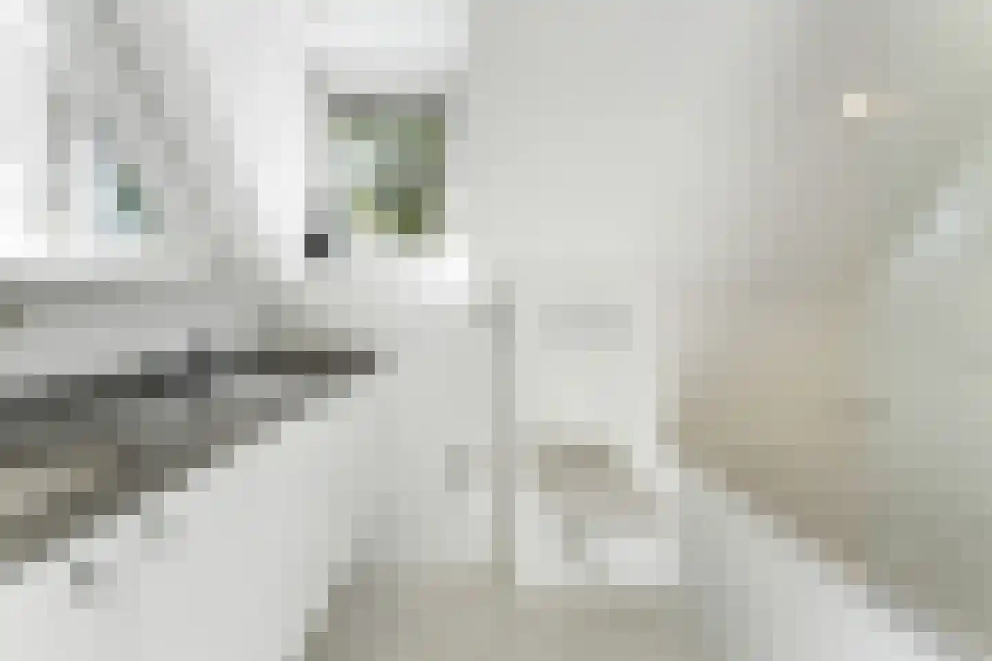Molenstraat 63 Roosteren thumbnail 31