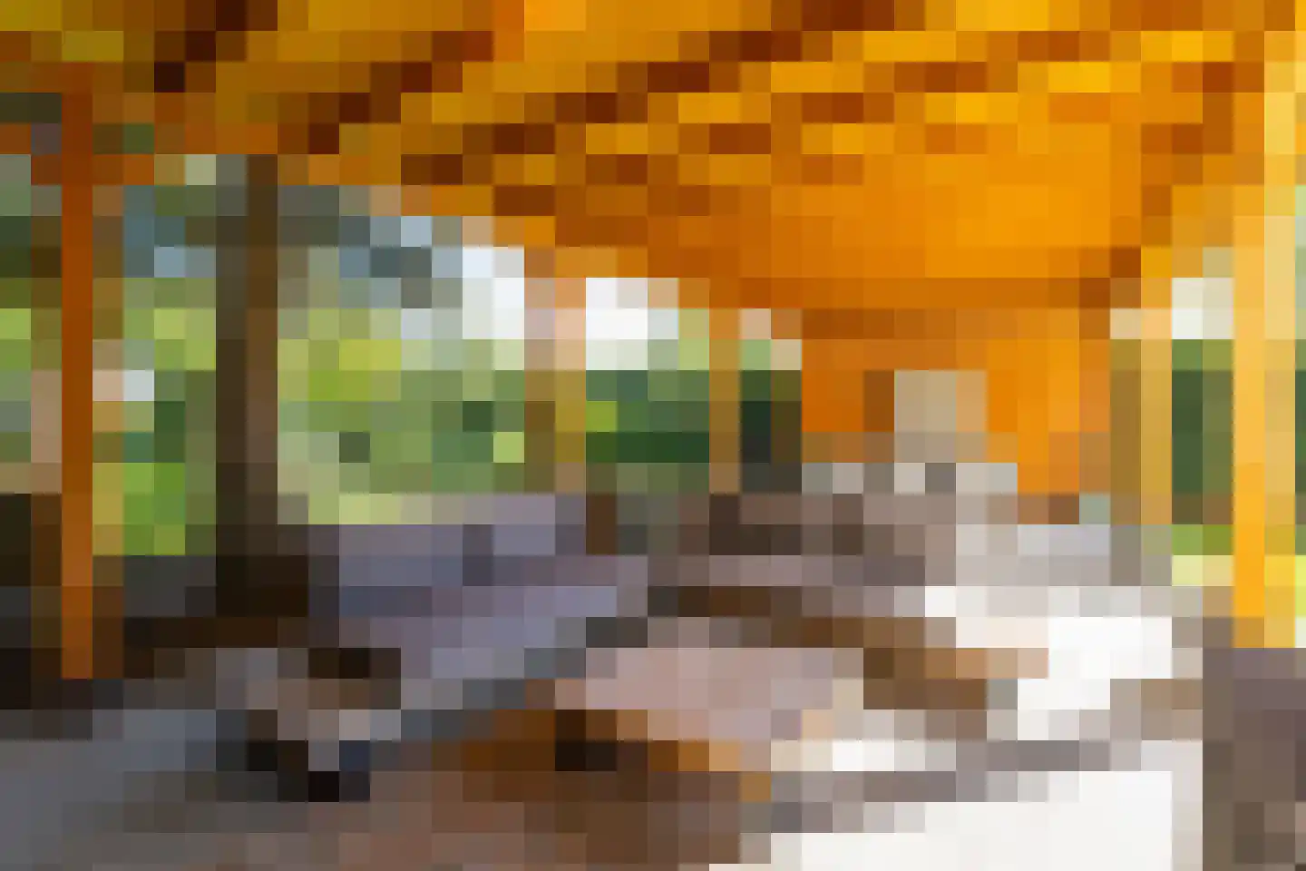 Molenstraat 63 Roosteren thumbnail 42