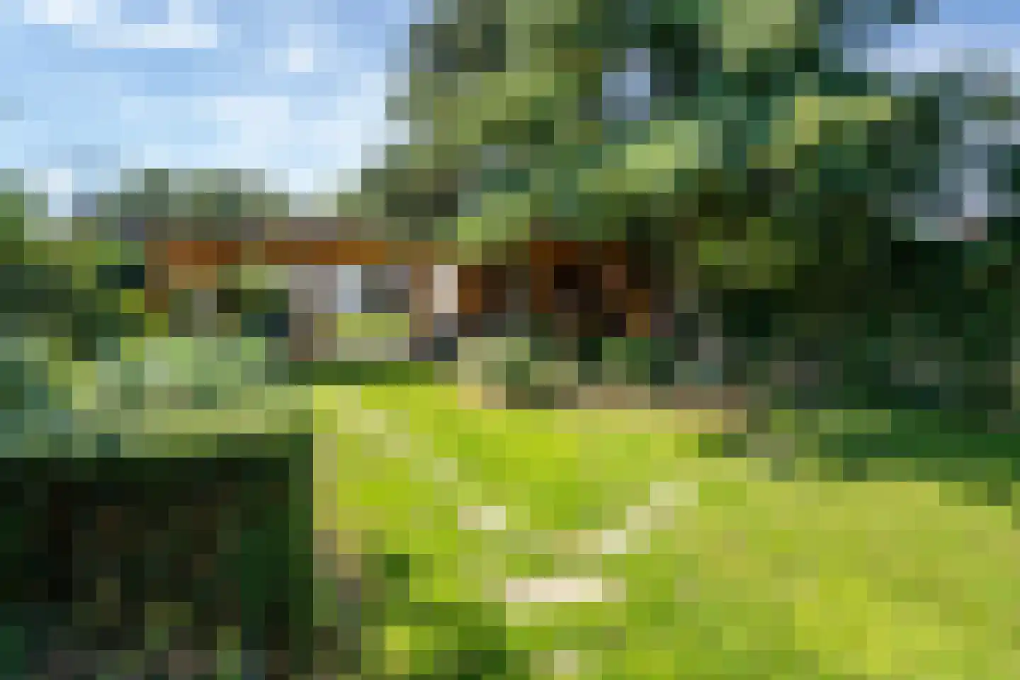 Molenstraat 63 Roosteren thumbnail 45