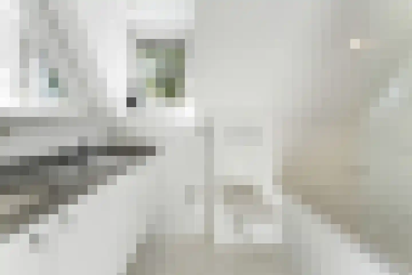 Molenstraat 63 Roosteren thumbnail 7