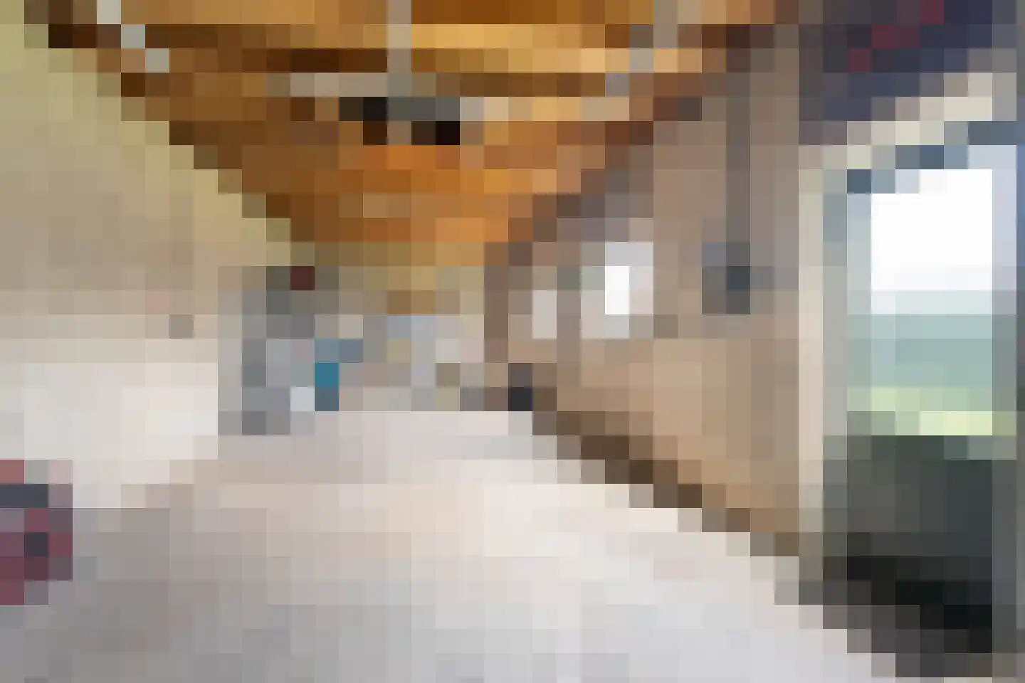 Molenstraat 63 Roosteren thumbnail 8