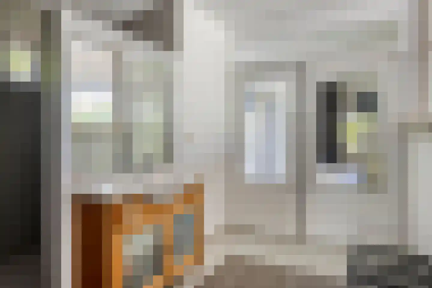 Molenstraat 63 Waterlandkerkje thumbnail 30