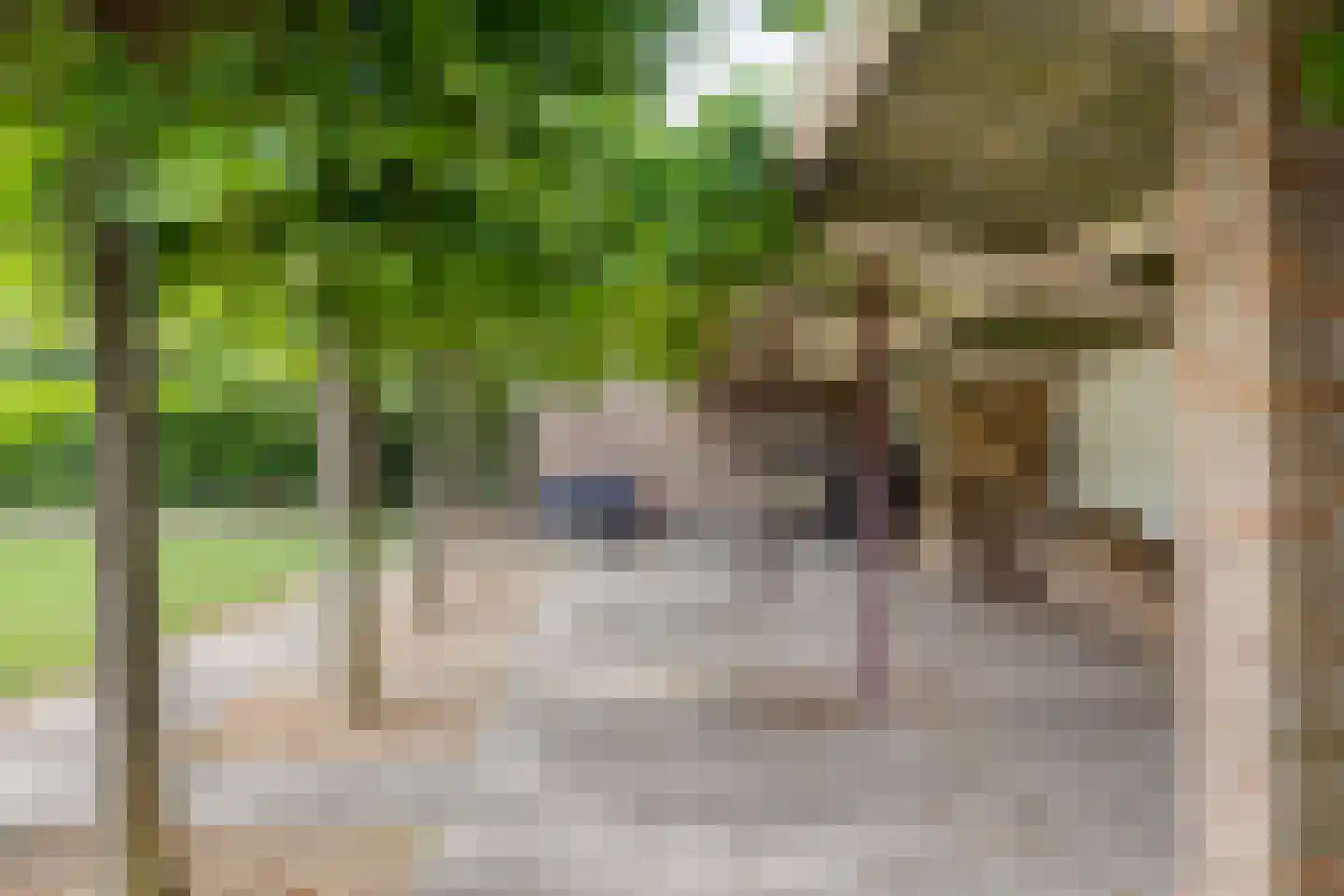 Molenstraat 63 Waterlandkerkje thumbnail 39