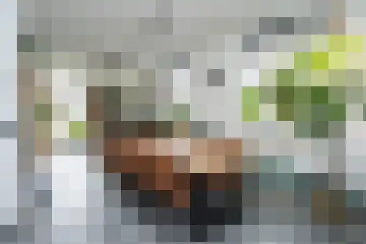 Molenstraat 66 Den Burg thumbnail 10