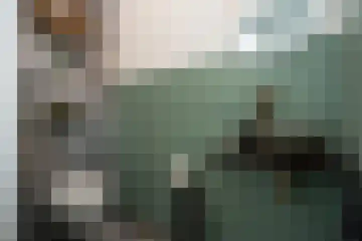 Molenstraat 66 Den Burg thumbnail 22