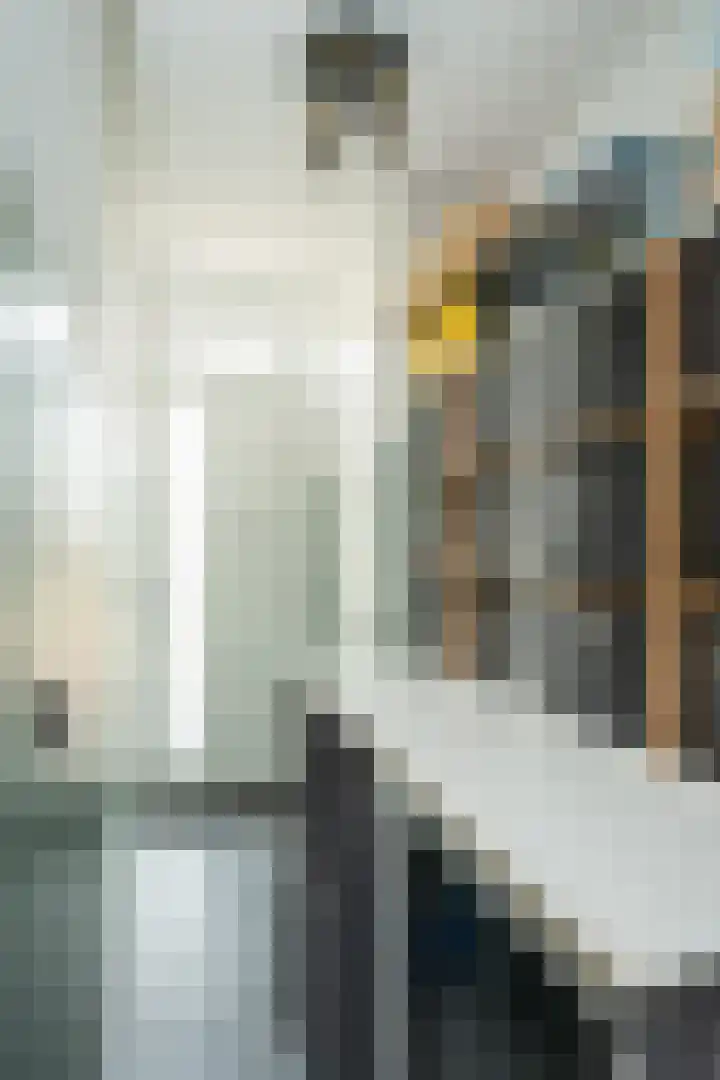Molenstraat 66 Den Burg thumbnail 5