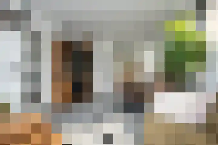 Molenstraat 66 Den Burg thumbnail 8