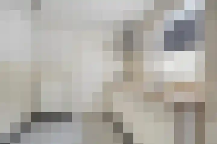 Molenstraat 66 Goirle thumbnail 10