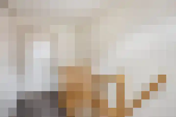 Molenstraat 66 Goirle thumbnail 16