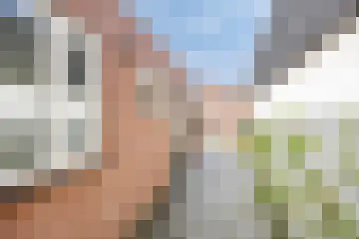 Molenstraat 66 Goirle thumbnail 21