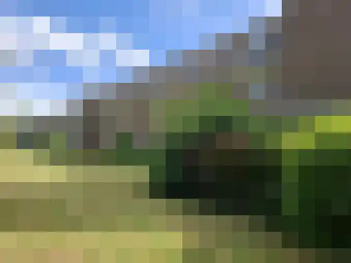 Molenstraat 66 Rotterdam thumbnail 13