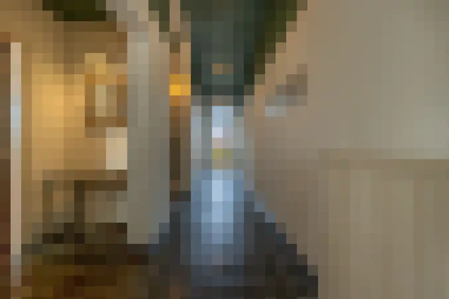 Molenstraat 66 Strijen thumbnail 12