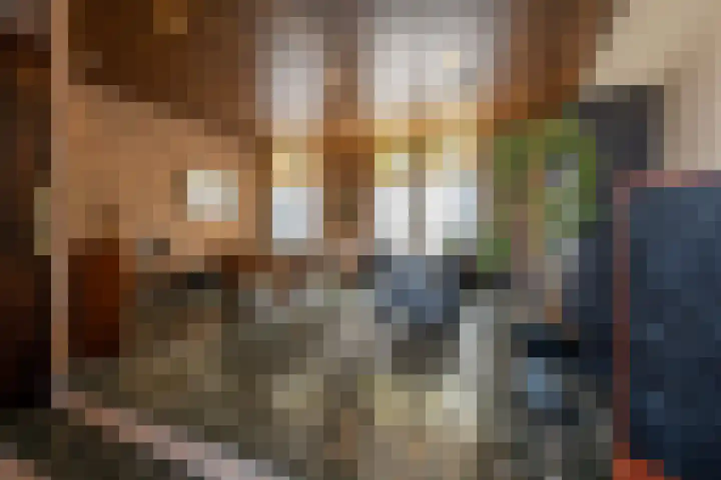 Molenstraat 66 Strijen thumbnail 16