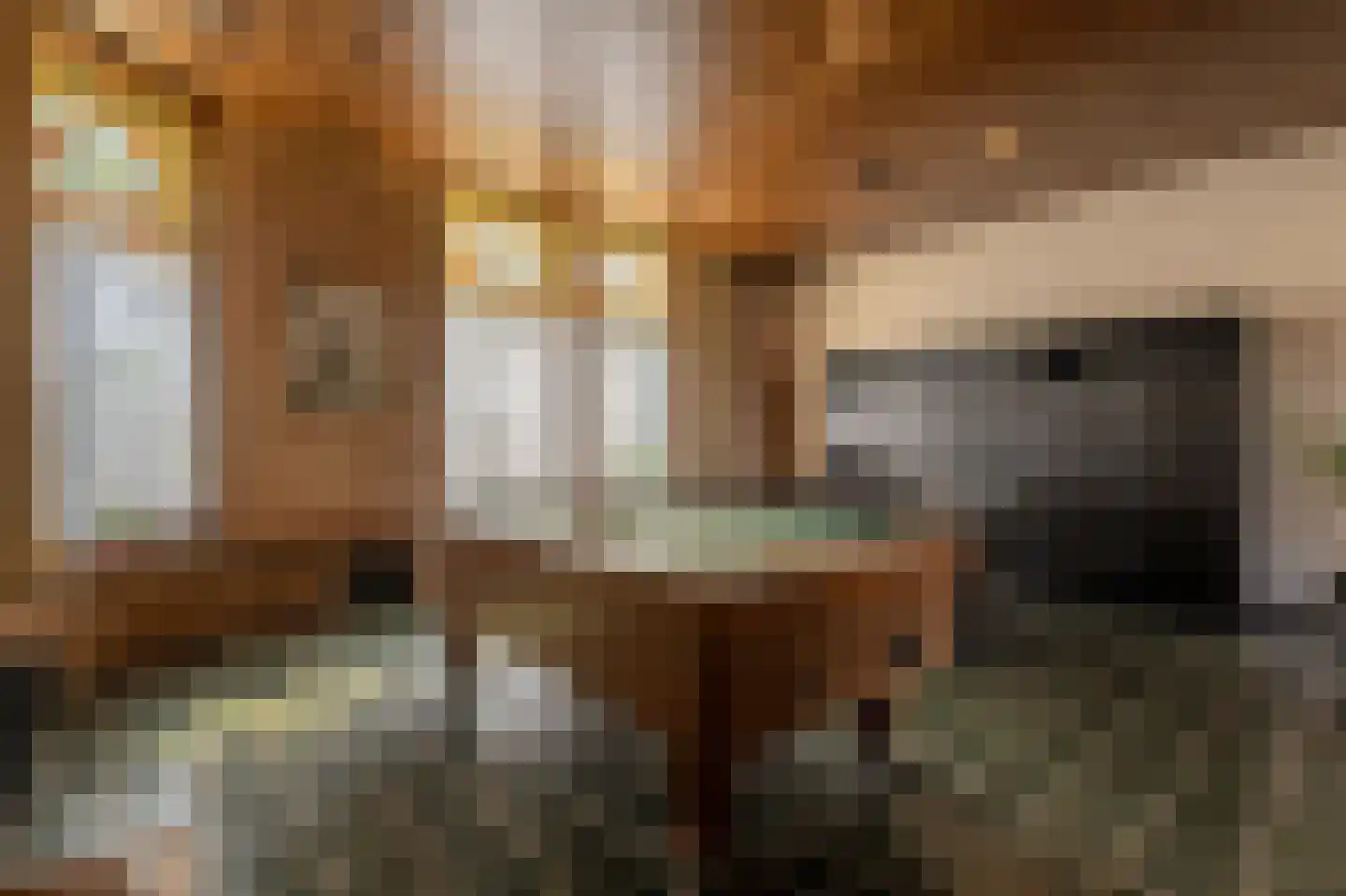 Molenstraat 66 Strijen thumbnail 17
