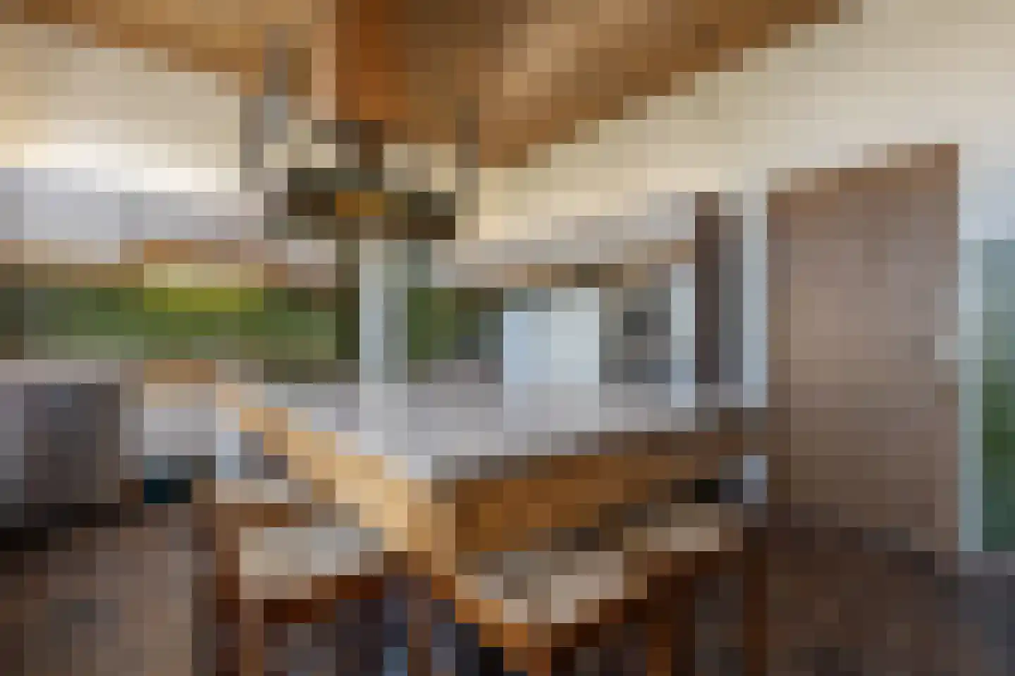 Molenstraat 66 Strijen thumbnail 23