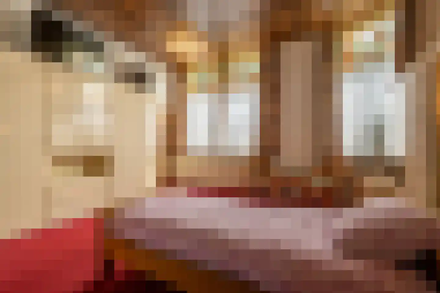 Molenstraat 66 Strijen thumbnail 27